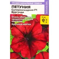Семена цветов Петуния Суперкаскадная &laquo;Бургунди&raquo;, F1, 7 шт., &laquo;Семена Алтая&raquo;