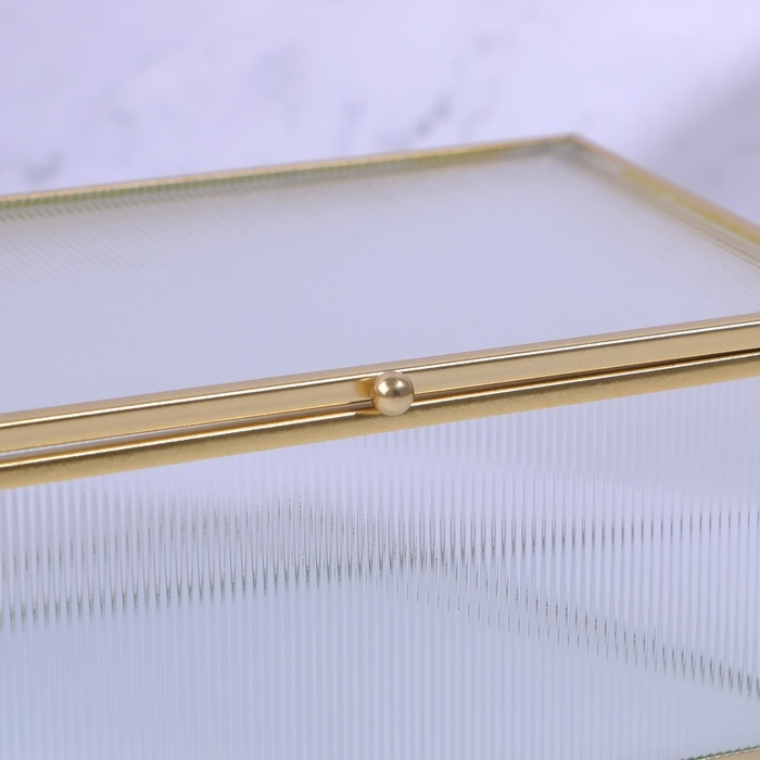 Органайзер для хранения «RIPPLES», с крышкой, стеклянный, с зеркальным дном, с крышкой, 1 секция, 17 × 10,5 × 7 см, цвет прозрачный/медный Органайзер для хранения «RIPPLES», с крышкой, стеклянный, с зеркальным дном, с крышкой, 1 секция, 17 × 10,5 × 7 см, цвет прозрачный/медный