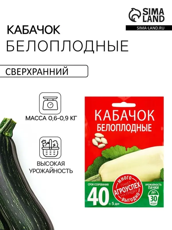 Семена Кабачок Белоплодный Агроуспех Много-Выгодно 10г (100)