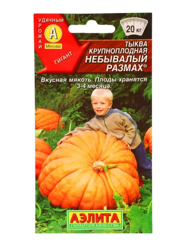 Семена Тыква крупноплодная "Небывалый размах", 2 г