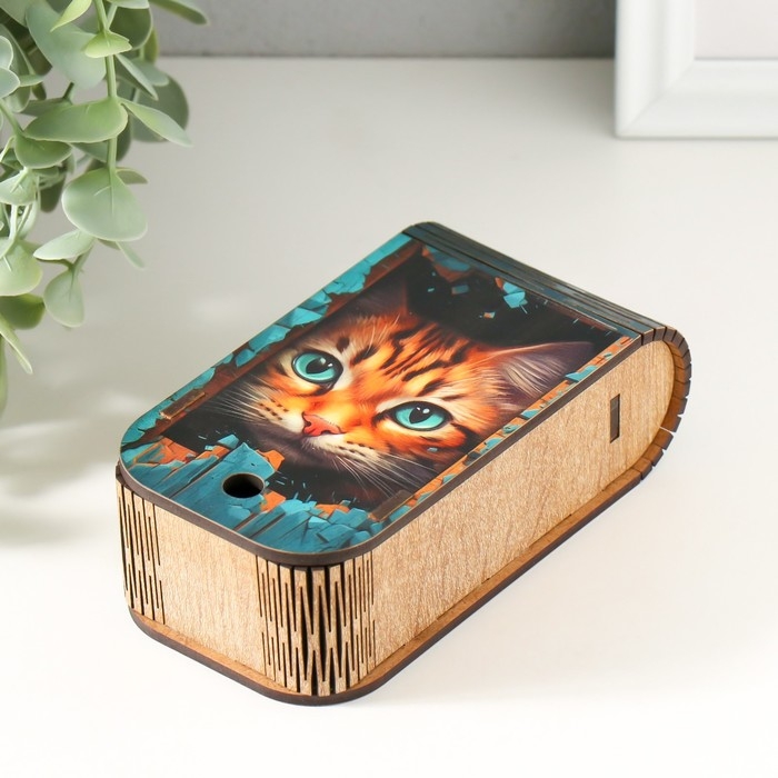 Шкатулка  Шкатулка "Котик" 13х7х4 см