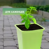 Горшок для рассады, 500 мл, 9&times;9&times;10 см, салатовый