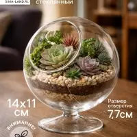 Флорариум &laquo;Натурель&raquo;, сфера, 14&times;11 см, d=7.7 см
