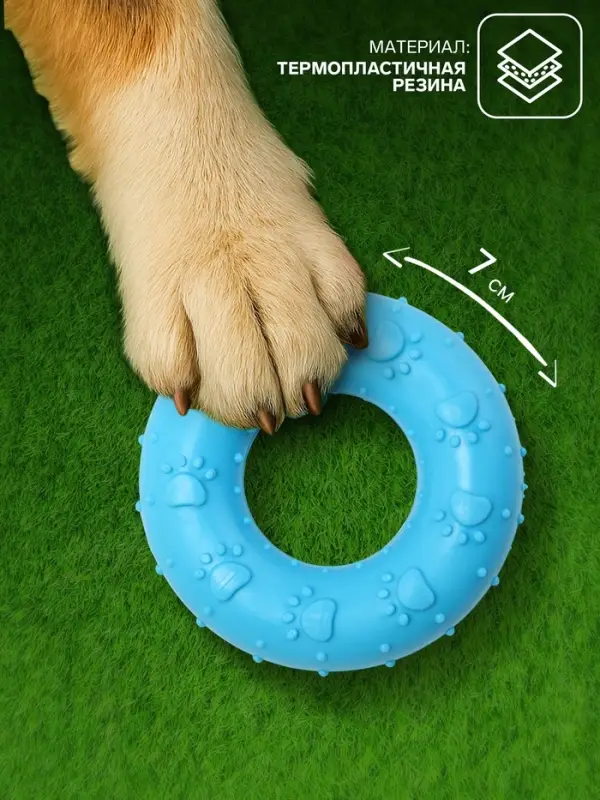Жевательная игрушка для собак &laquo;Пончик&raquo;, 7 см, голубая