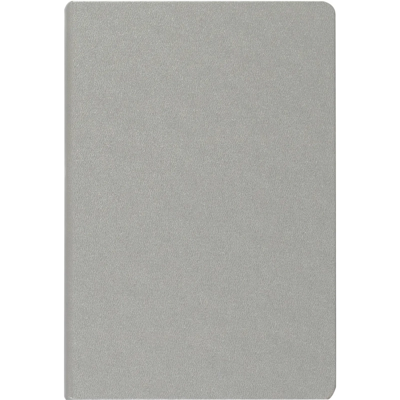 Ежедневник недатированный серебр, MEGAPOLIS А5, 142х214мм,320стр.3-281/07