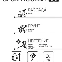 Семена цветов Нивяник "Серебряная принцесса", 0,1 г