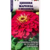 Семена Цинния Маркиза в Вишневом /Сотка/ 0,2 г/ h-80см, d-14см/*1000 Семена Цинния Маркиза в Вишневом /Сотка/ 0,2 г/ h-80см, d-14см/*1000