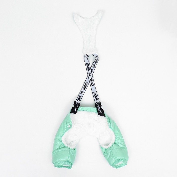 Комбинезон-штаны для собак,  размер S (ДС 31, ОТ 34 см), мятный