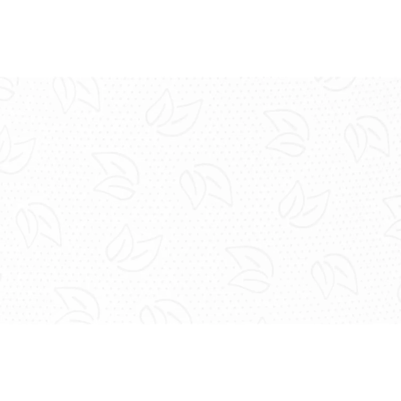 Бумага туалетная д/дисп Protissue 2сл белая цел 170м 12рул/уп_С191