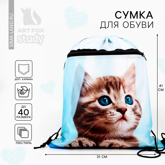 Мешок для обуви «Милый котик» 2 секции, 30×40 см Мешок для обуви «Милый котик» 2 секции, 30×40 см