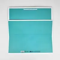 Пакет для цветов &laquo;Подарок&raquo;, 42&times;44&times;32 см