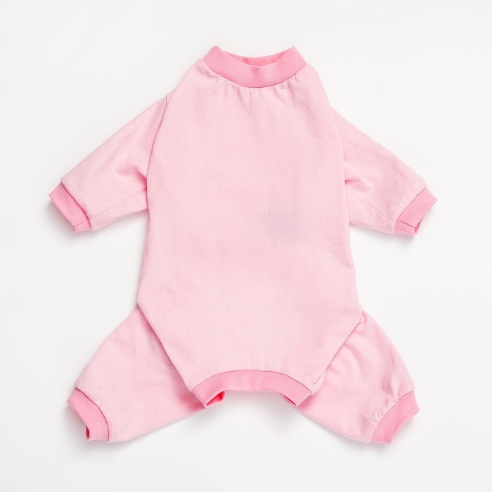 Комбинезон для животных нежно-розовый, L (ДС 39, ОШ 36-38, ОГ 60-62) Комбинезон для животных нежно-розовый, L (ДС 39, ОШ 36-38, ОГ 60-62)