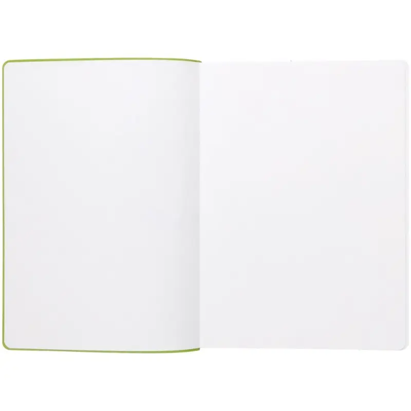 Ежедневник Flexpen, недатированный, серебристо-зеленый Ежедневник Flexpen, недатированный, серебристо-зеленый