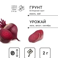 Семена Свекла &laquo;Бордо 237&raquo;, белый пакет, 2 г, &laquo;Семена Алтая&raquo;