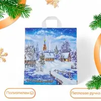 Пакет «Снежное царство», полиэтиленовый с петлевой ручкой, 40×42 см