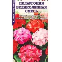 Семена Ком: Пеларгония Великолепная смесь /Сотка/ 3шт /*1500 Семена Ком: Пеларгония Великолепная смесь /Сотка/ 3шт /*1500