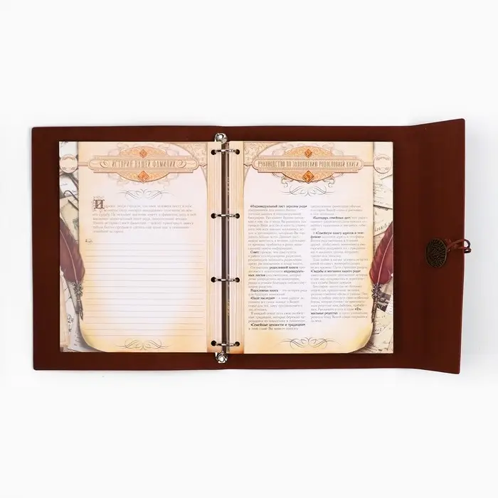 Родословная книга &laquo;Наш род&raquo;, 56 листов, коричневый, 35&times;23.5 см