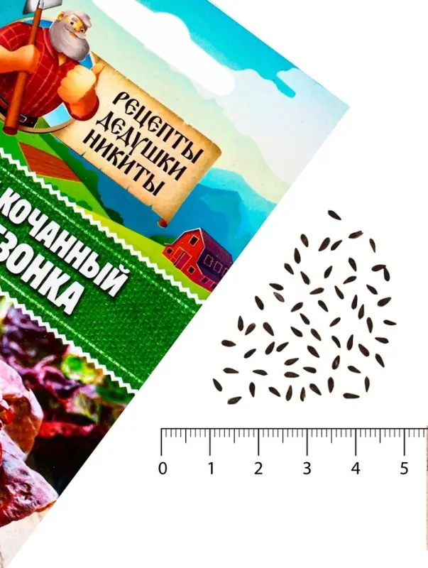 Семена Салат кочанный  Семена Салат кочанный "Всесезонка", 0,5 г