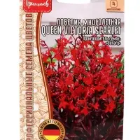 Семена цветов Лобелия Queen Victoria Scarlet многолетняя 5драже 12.29 г.