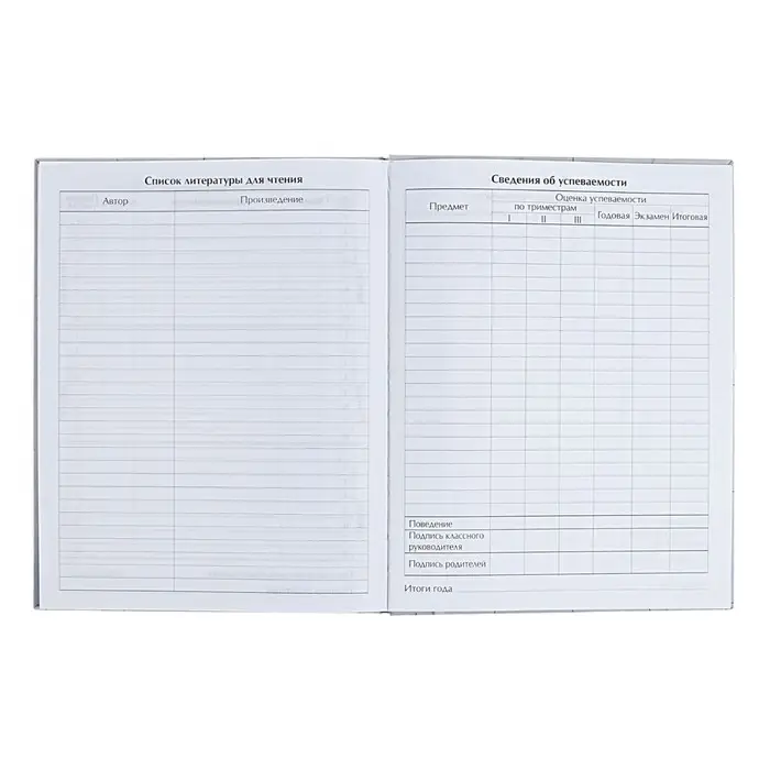 Дневник универсальный для 1-11 классов "Аниме. Девочка на журнале", твёрдая обложка, глянцевая ламинация, 40 листов