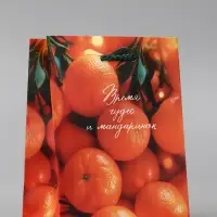Пакет подарочный новогодний ламинированный, «Новогодние мандарины» , 11.5×6.5×14.5 см