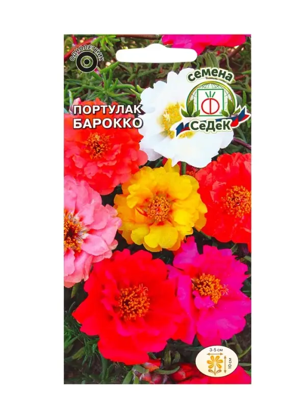 Семена цветов Портулак  Семена цветов Портулак "Барокко" 0,1г