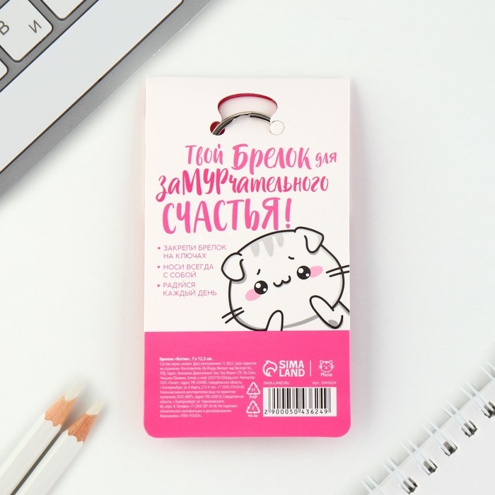 Брелок для ключей акриловый «Котик», 7 х 12,5 см