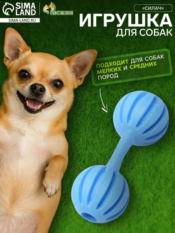Жевательная игрушка для собак &laquo;Силач&raquo;, 15 см, TPR, голубая