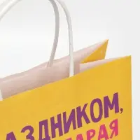 Пакет подарочный &laquo;Старая клюшка&raquo;, 22&times;22&times;11 см