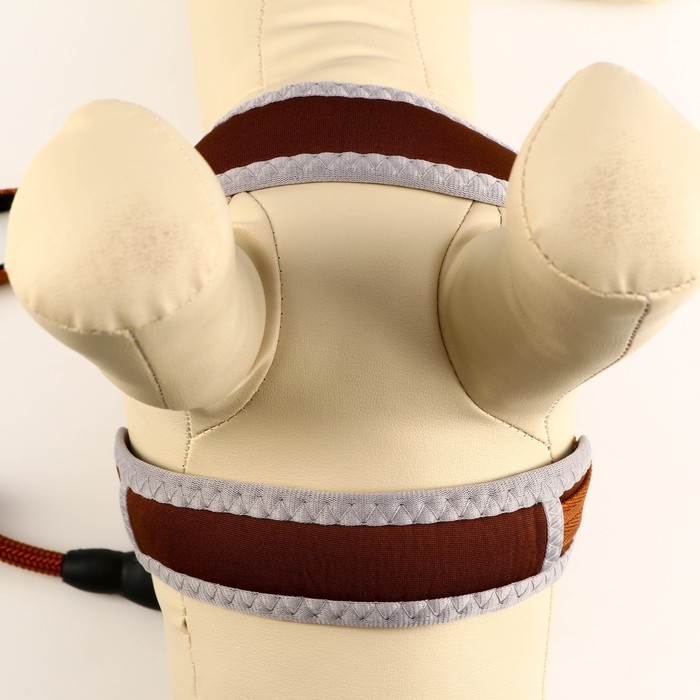 Комплект мягкая шлейка, круглый поводок 1,5 х 120 см с вертлюгом, M, ОШ 32-72 см, ОГ 32-72 см, корич Комплект мягкая шлейка, круглый поводок 1,5 х 120 см с вертлюгом, M, ОШ 32-72 см, ОГ 32-72 см, корич