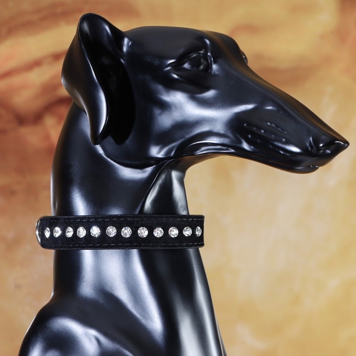 Ошейник  Ошейник "Бархат и стразы", 31 х 1,3/2 см, ОШ 22-28 см, чёрный