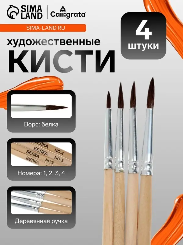 Кисти для рисования, белка, 4 штуки: № 1, 2, 3, 4, круглые, деревянная ручка, международный размер