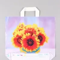 Пакет "Марлен", полиэтиленовый с петлевой ручкой, 38 х 34 + 3 см, 70 мкм