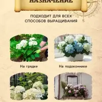 Грунт для Азалий, Рододендронов, Гортензий PETER PEAT, линия &laquo;Хобби&raquo;, 20 л