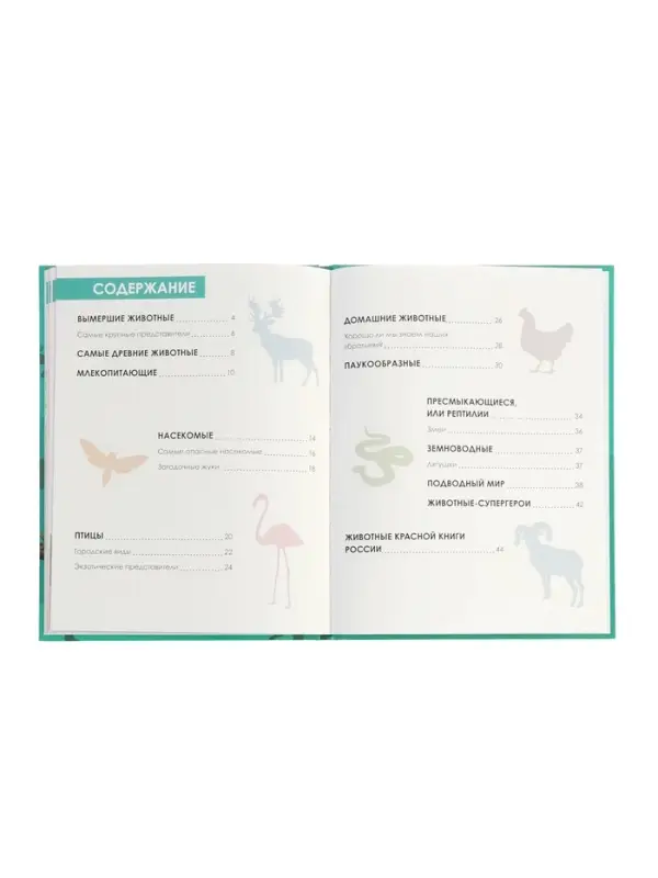 Ээнциклопедия  Ээнциклопедия "Животные"