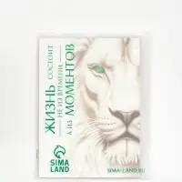 Пакет подарочный «Новогодняя сказка», с ободком, 31 × 11 × 40 см Пакет подарочный «Новогодняя сказка», с ободком, 31 × 11 × 40 см