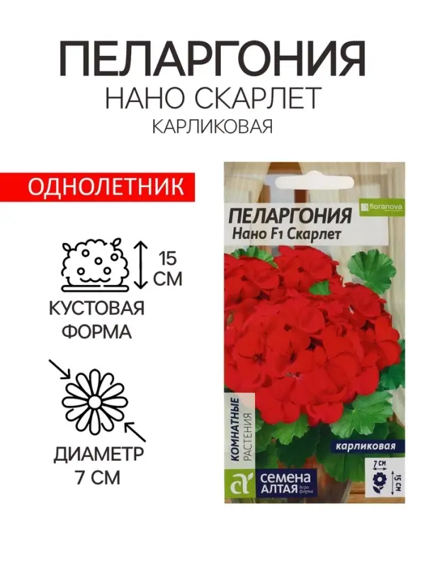 Семена цветов Пеларгония "Нано", ц/п,  "Скарлет", ц/п,  3 шт