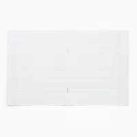 Тетрадь 12 листов, в частую косую линейку, А5, на скрепке &laquo;Буки Бяки&raquo; МИКС