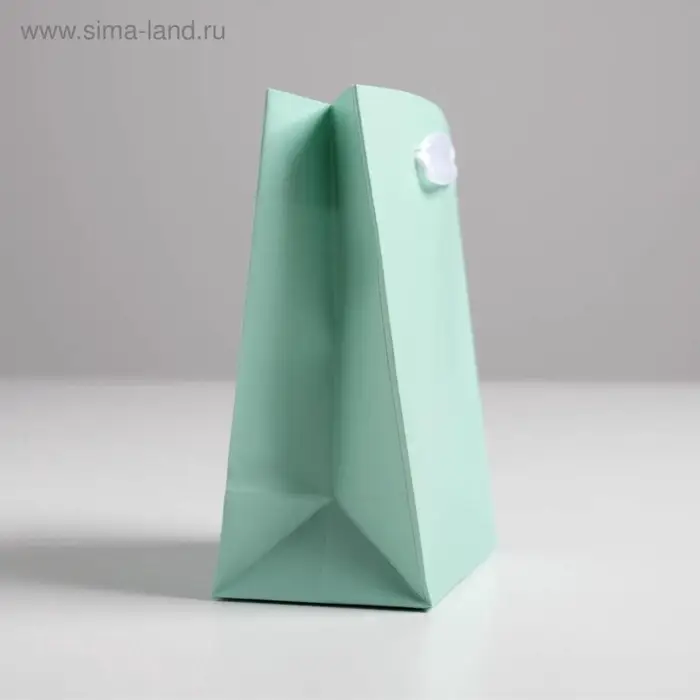 Пакет подарочный, упаковка, &laquo;Мятный&raquo;, 12&times;15&times;5.5