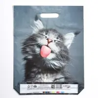 Пакет «Кот», полиэтиленовый с вырубной ручкой, 30×40 см, 50 мкм
