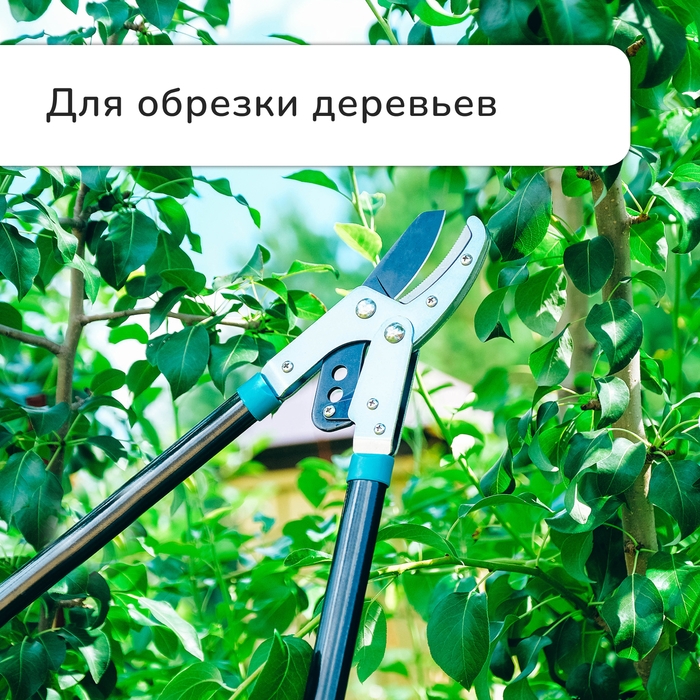 Сучкорез контактный, 31 Сучкорез контактный, 31" (79 см), с наковальней, с пластиковыми ручками, МИКС, Greengo