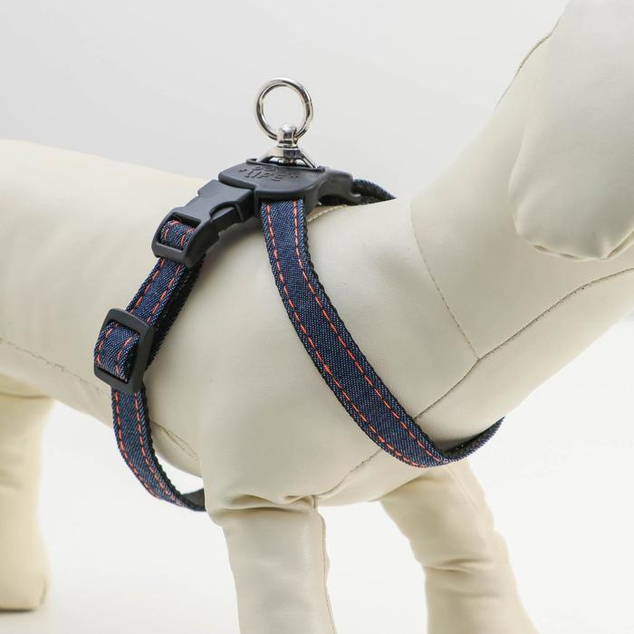 Шлейка многоразмерная регулируемая быстросъемная, ОГ+ОШ 40-70 см, до 15 кг, джинс-черная Шлейка многоразмерная регулируемая быстросъемная, ОГ+ОШ 40-70 см, до 15 кг, джинс-черная