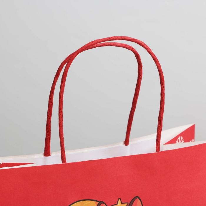 Пакет подарочный новогодний «Следующий год будет лучше», 22 х 22 х 11 см Пакет подарочный новогодний «Следующий год будет лучше», 22 х 22 х 11 см