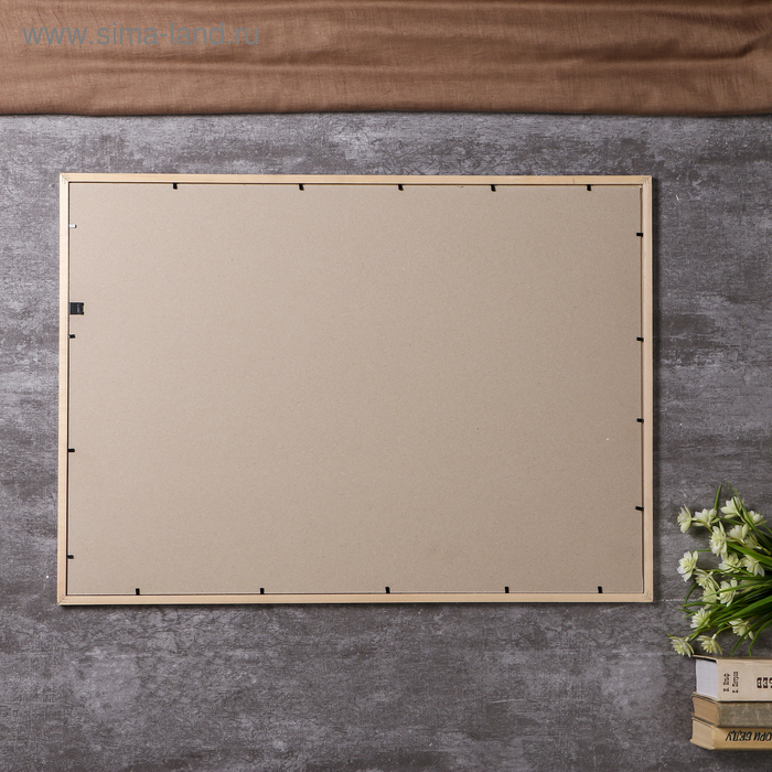 Фоторамка сосна с19 серебро 50х70 см (пластиковый экран) Фоторамка сосна с19 серебро 50х70 см (пластиковый экран)