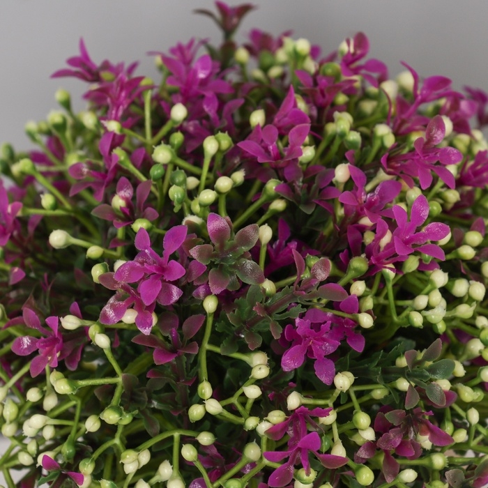 Бонсай в горшке Бонсай в горшке "Бувардия галант" 17х10 см, микс