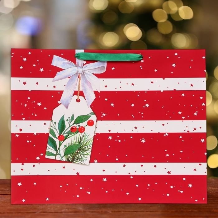 Новый год. Пакет подарочный Новый год. Пакет подарочный "Звёздочки", 50 х 40 х 15 см.