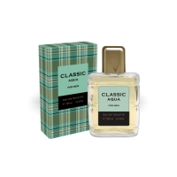 Туалетная вода мужская Classic Aqua, 100 мл (по мотивам Acqua Di Gio (G.Armani)