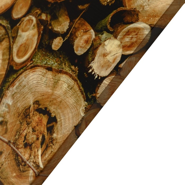 Картина Картина "Брёвна" 60*100 см