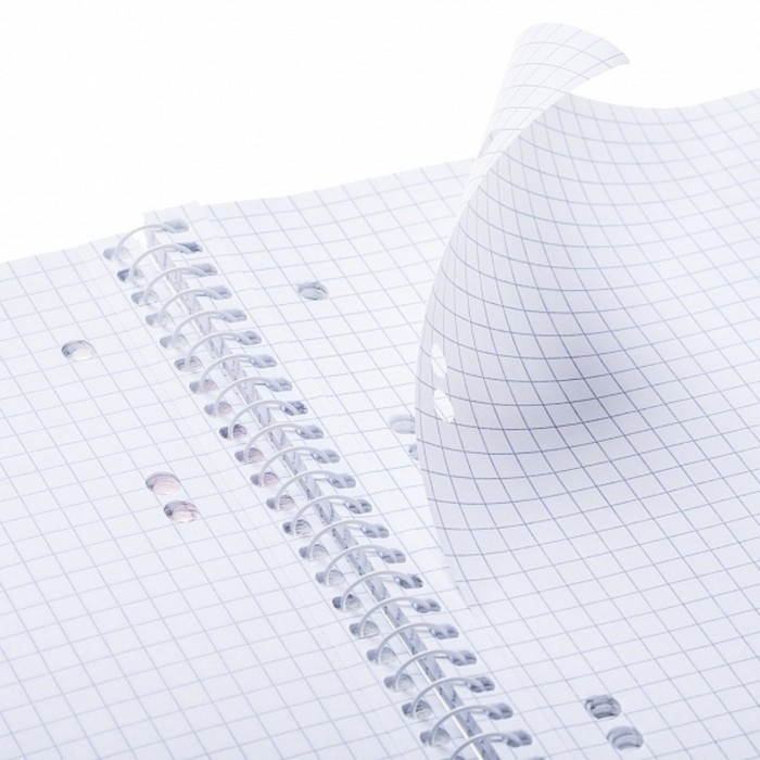 Сменный блок для тетрадей на 4-х кольцах А5, 80 листов в клетку, индивидуальная упаковка Сменный блок для тетрадей на 4-х кольцах А5, 80 листов в клетку, индивидуальная упаковка