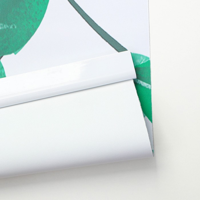 Штора рулонная &laquo;Ветви&raquo;, блэкаут, 90&times;200 см, цвет белый